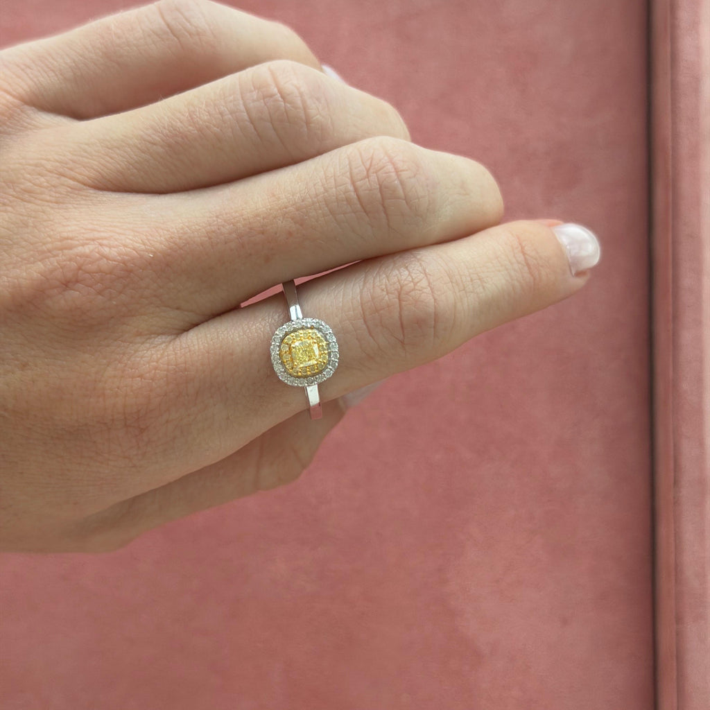 Anillo Carolina