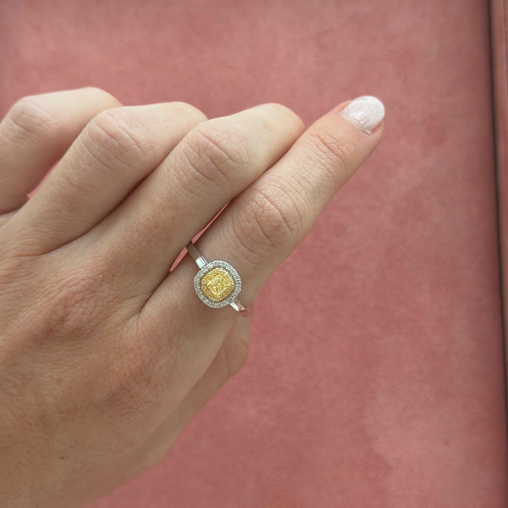 Anillo Carolina