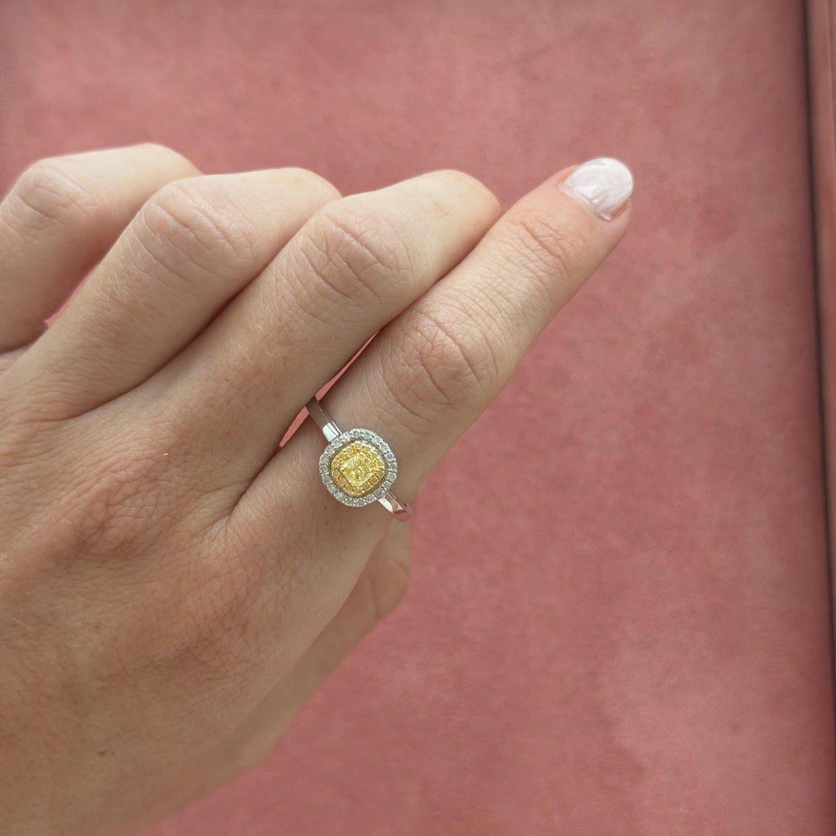 Anillo Carolina