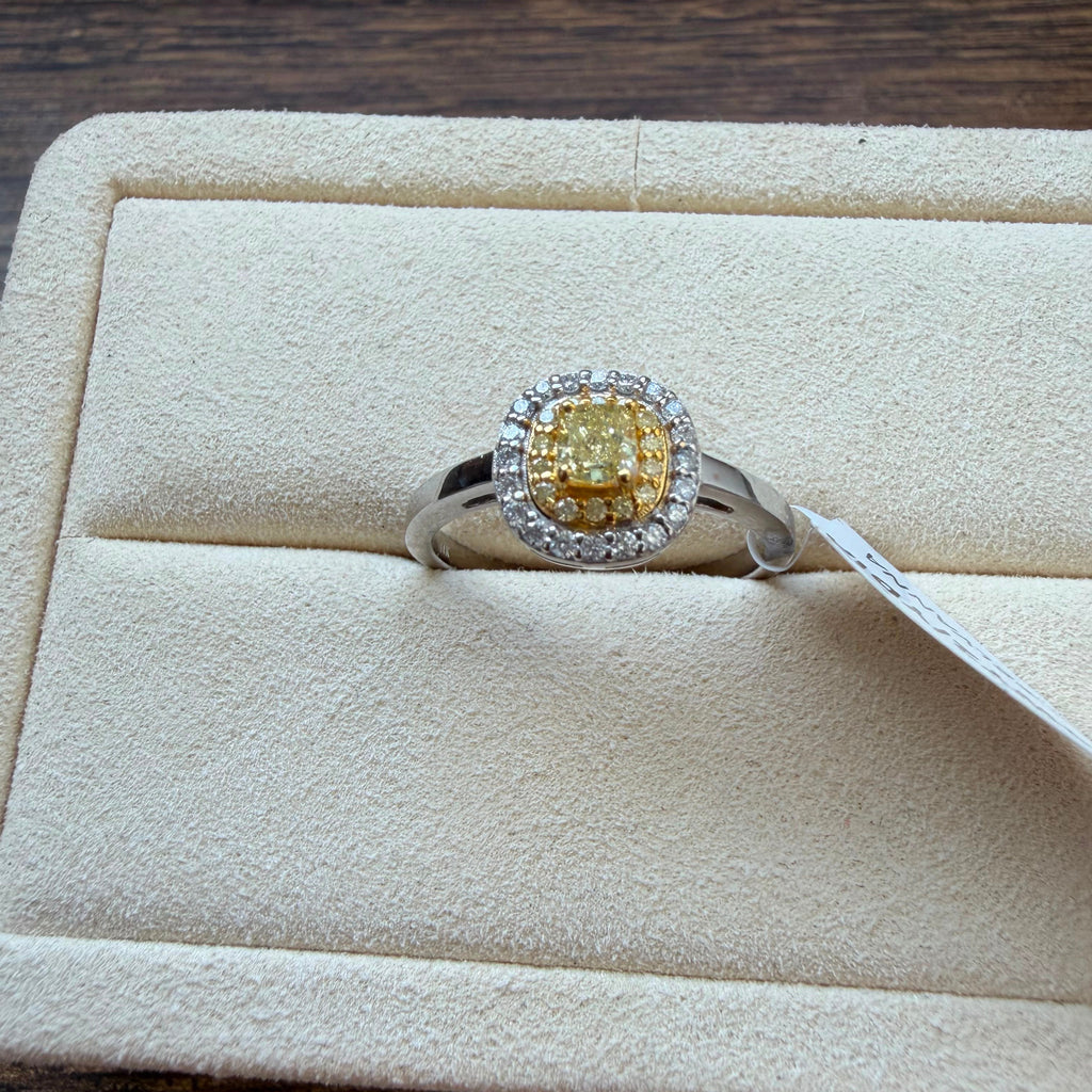 Anillo Carolina