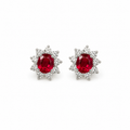 Aretes Denisse