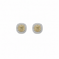 Aretes Carolina