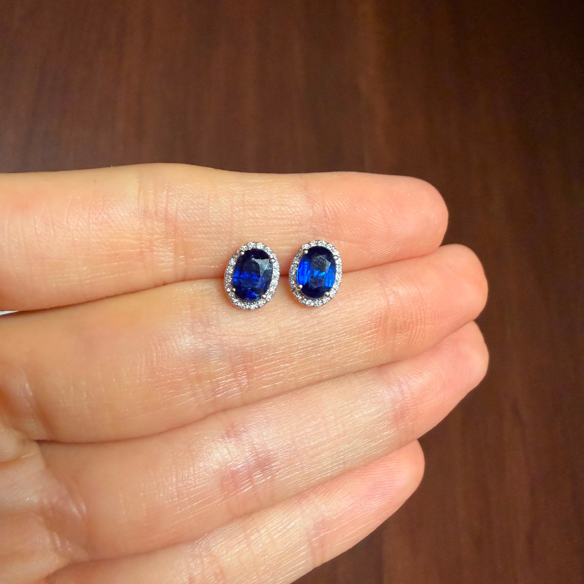Aretes Dalia