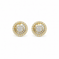 Aretes Darinka