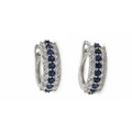 Aretes Victoria